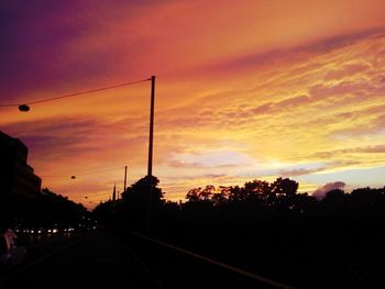 Silhouette of trees at sunset