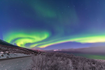 Scenic view of sky at night with northern lights
