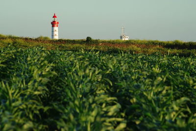 Lighthouse on field by building against sky