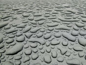 Full frame shot of raindrops on pebbles