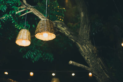 Low angle view of illuminated pendant lights hanging on tree