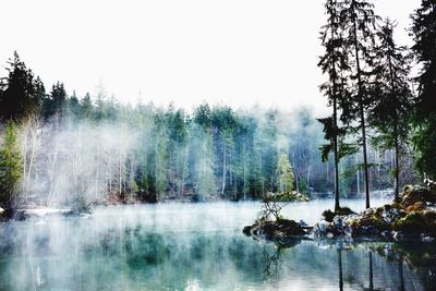 Trees and calm lake against clear sky during foggy weather