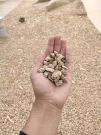 Close-up of hand holding pebbles