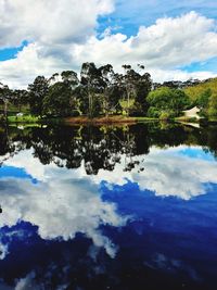 Reflection of trees in lake