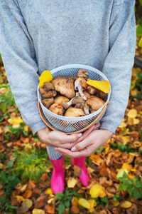 Low section of woman holding mushrooms in basket while standing on land