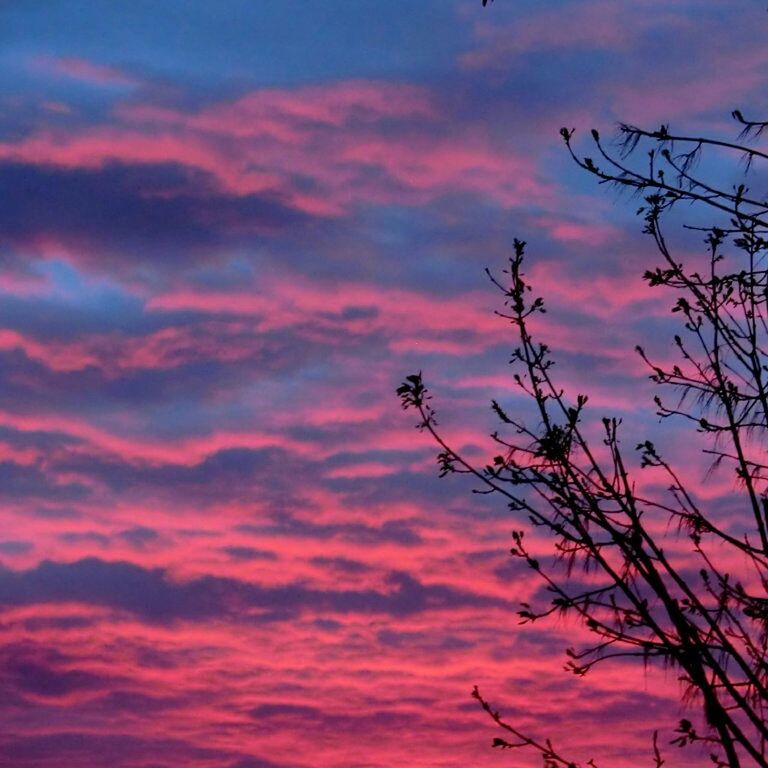 sunset, sky, low angle view, cloud - sky, beauty in nature, tranquility, orange color, scenics, nature, silhouette, cloudy, tranquil scene, cloud, idyllic, dramatic sky, tree, outdoors, branch, no people, backgrounds