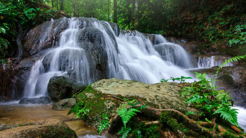 View of waterfall in forest