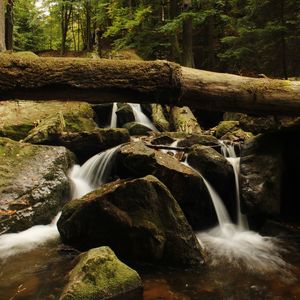 Scenic view of waterfall in forest