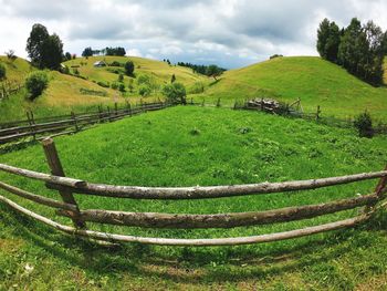 Scenic view of agricultural field against sky