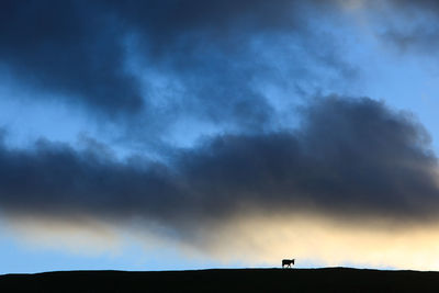 Low angle view of landscape against cloudy sky