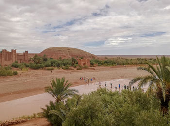 People on land by trees against sky