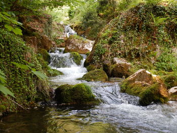 Stream flowing through rocks in forest