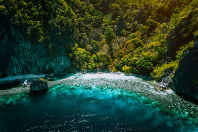 Scenic view of waterfall in forest