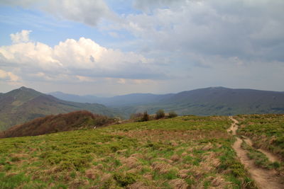 Scenic view of field against sky