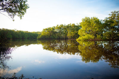 Reflection of trees in lake against sky
