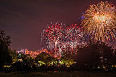 Low angle view of firework display at night