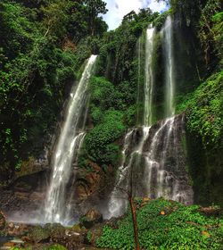 Scenic view of waterfall in forest