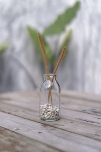 Close-up of plants in glass bottle on table
