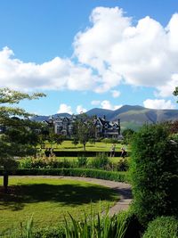 Scenic view of trees and plants against sky