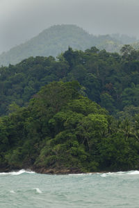 Scenic view of sea against trees and mountains