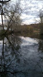 Reflection of trees in lake