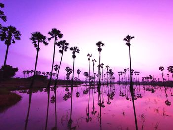 Silhouette palm trees by lake against sky at sunset