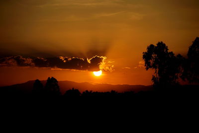 Silhouette trees against dramatic sky during sunset