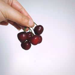 Close-up of hand holding berries over white background