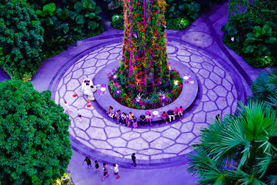 High angle view of illuminated plants in park