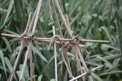 Close-up of sticks tied to ropes against grass