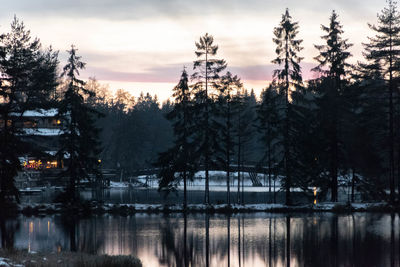 Reflection of trees in lake during sunset