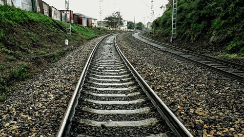 Railroad tracks amidst trees