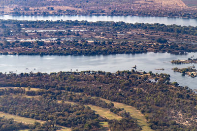 High angle view of trees by lake