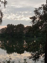 Reflection of trees in lake against sky