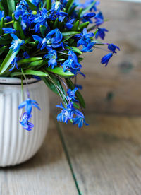 Close-up of blue flower pot on table