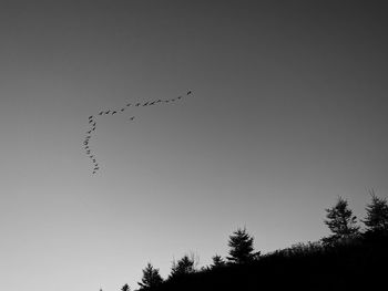 Low angle view of silhouette birds flying against sky