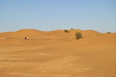 Scenic view of desert against clear sky