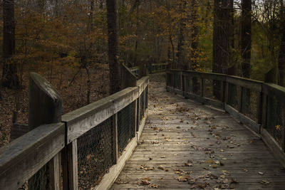 Wooden footbridge amidst trees in forest