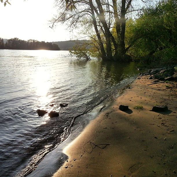 water, tree, lake, tranquility, reflection, tranquil scene, scenics, nature, beauty in nature, lakeshore, river, riverbank, forest, no people, idyllic, outdoors, day, sky, branch, rippled