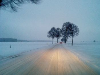 Road passing through forest