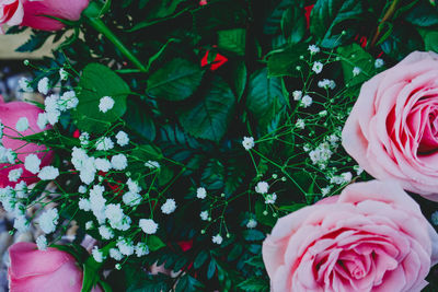 High angle view of rose bouquet