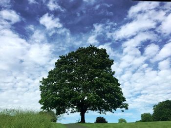 Low angle view of trees against cloudy sky
