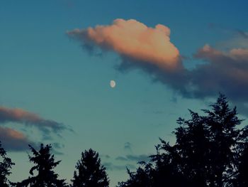 Low angle view of silhouette trees against blue sky