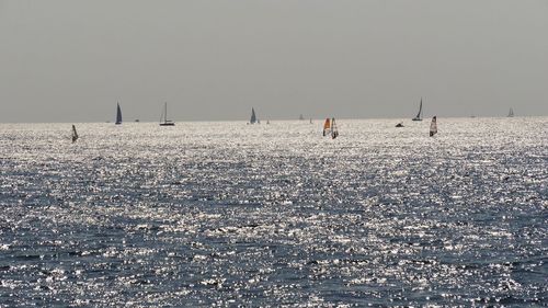 Sailboats in sea against clear sky