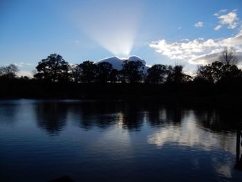 Reflection of trees in lake