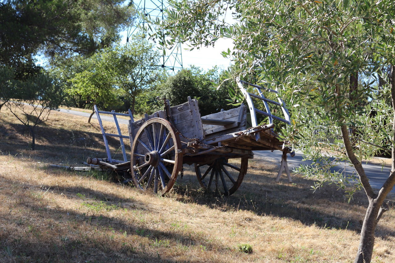 HORSE CART IN FARM