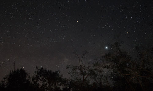 Low angle view of silhouette trees against sky at night