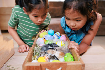 Sisters looking at bunny rabbits in box