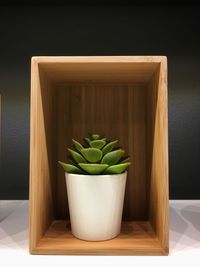 Close-up of potted plant on table at home