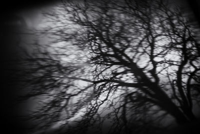 Low angle view of bare trees against sky